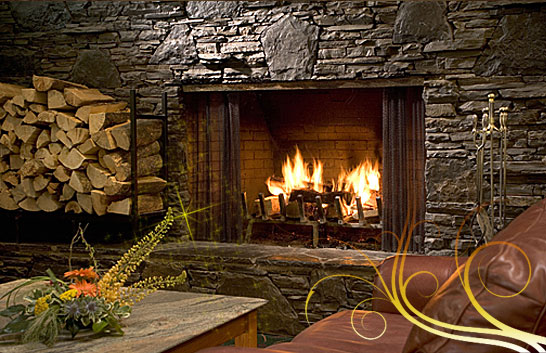 барбекю, dimplex, jotul барбекю, dimplex, jotul